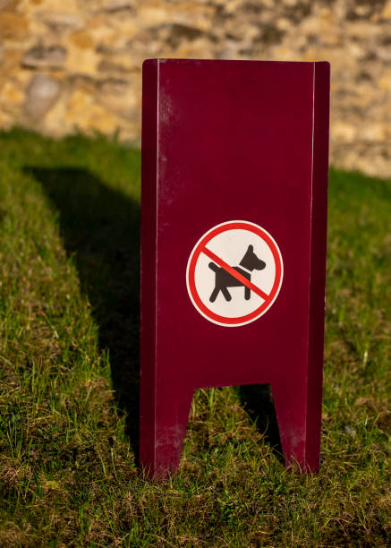 istock No dog allowed in park illustration 1308301796