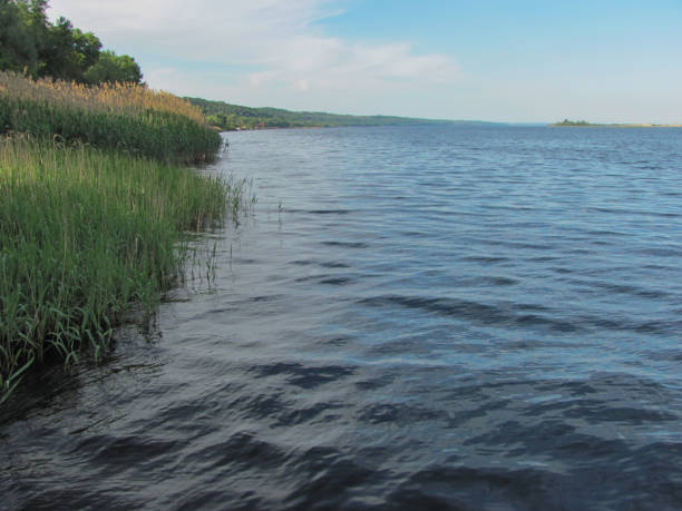 istock a river, green shore with reeds and blue sky with white clouds 1308302439