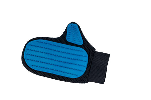 istock Blue rubber pet grooming glove isolated on white background 1308302504