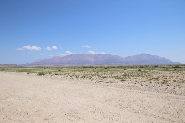 istock Self driver Safari in North of Namibia 1308303871