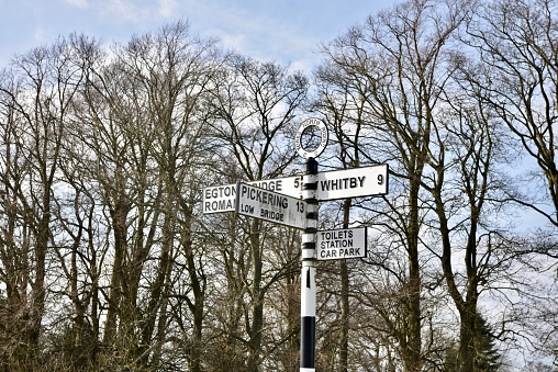 Black and white sign posts