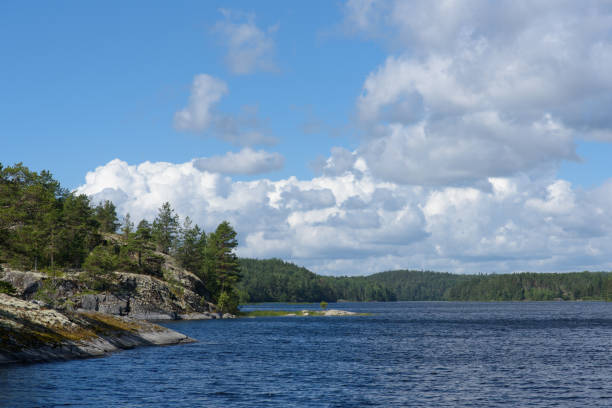 istock Summer view on Ladoga lake 1308306845