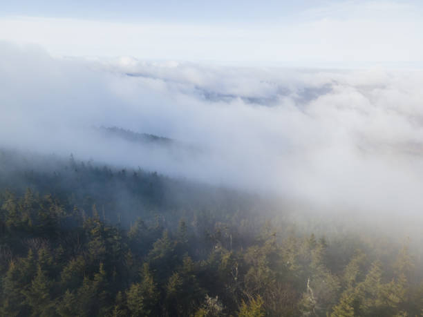 ノースカロライナ州西部のブラックマウンテンで霧の上を飛ぶ - great smoky mountains national park great smoky mountains asheville sunrise ストックフォトと画像