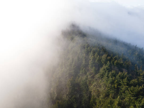 ノースカロライナ州西部のブラックマウンテンで霧の上を飛ぶ - great smoky mountains national park great smoky mountains asheville sunrise ストックフォトと画像