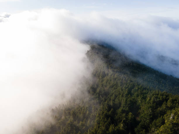 ノースカロライナ州西部のブラックマウンテンで霧の上を飛ぶ - great smoky mountains national park great smoky mountains asheville sunrise ストックフォトと画像