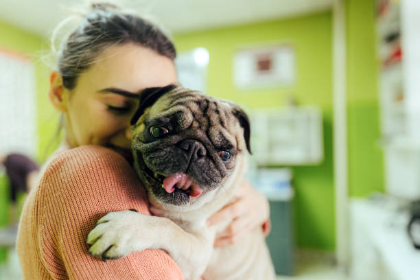 istock Taking a dog to the vet 1308308514