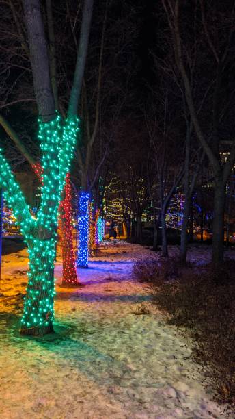 istock Capitol Plaza Holiday Illumination (photo3) 1308308558