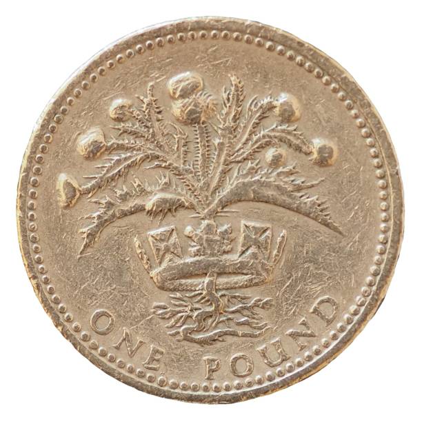 istock 1 pound coin, United Kingdom 1308308814