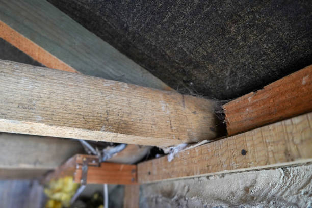 istock Inside of a roof void space with wires and insulation 1308309460