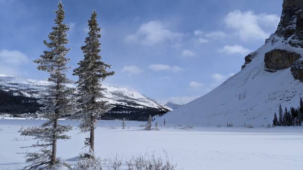 istock Bow Lake snowy landscape (photo6) 1308309582