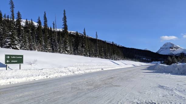 between jasper and lake louise (photo3) - bow lake imagens e fotografias de stock