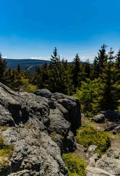 istock Big rocks in Jizera mountains with high trees around 1308311053