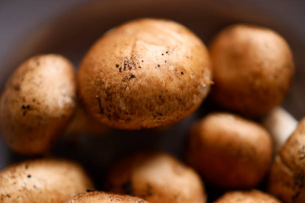 Istanbul, Turkey-March 10, 2021: Brown Chestnut mushrooms in a lilac ceramic plate, Close-up, Full Frame, Still life, Studio shot, Flat lay. Shot with Canon EOS R5.