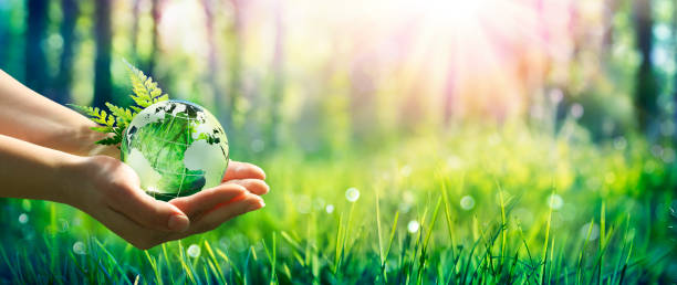 アースデイ - 環境コンセプト - 太陽の光を浴びる緑の草原でグローブグラスを手に持つ - 環境保護 ストックフォトと画像