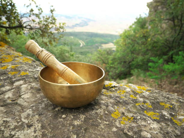 istock Singing bowl on a large rock with nature in the background 1308315246