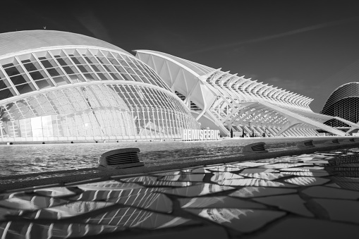 Valencia's City of Arts and Sciences is the modern landmark of the Spanish city located on the country's east coast. It was designed by architects Santiago Calatrava and Félix Candela. The black and white view includes the futuristic architecture of l'Hemisferic, the Museu de les Ciències (Science Museum) and the multifunctional Ágora pavilion.