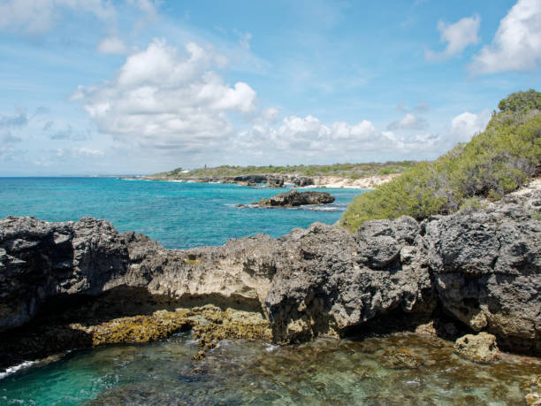 istock French West Indies wild beach 1308320551