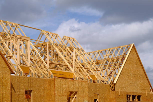 istock Wood Sheathing and Roof Trusses 1308323607