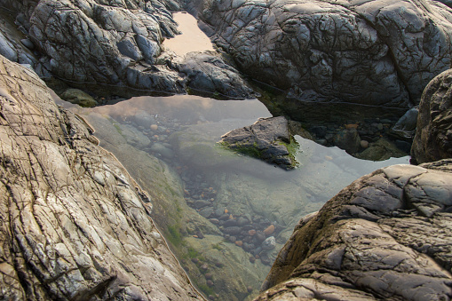 A Tidal puddle  in rocks