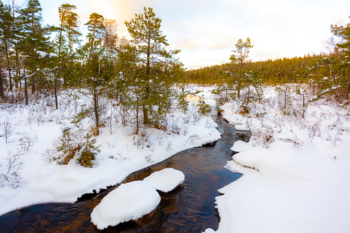 Winter wonder land  in forest with a river, creek