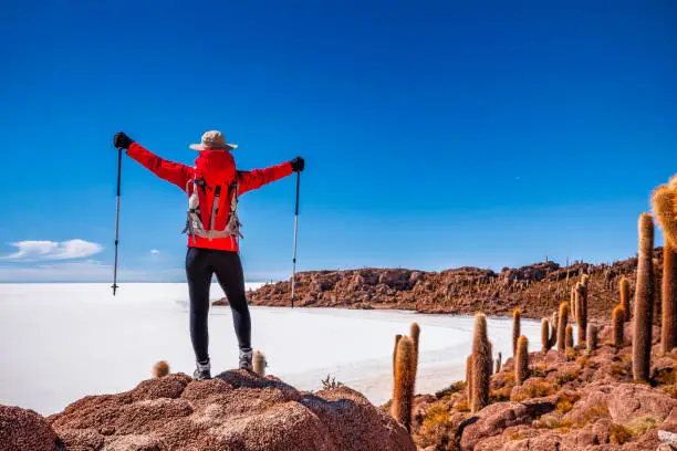 Female tourist, wearing a red jacket, lifts her arms in victory on Isla Wasi, Salar de Uyuni.  She is standing on the top of a rock and looking at Salar de Uyuni. Inka Wasi (Quechua, meaning "Inca house"), also Isla del Pescado, Isla de los Pescadores or Isla Inca Huasi, is an island in the middle of Salar de Uyuni.Salar de Uyuni (or Salar de Tunupa) is the world's largest salt flat at 10,582 square kilometers (4,086 sq mi). It is located in the Potosi and Oruro departments in southwest Bolivia, near the crest of the Andes, and is elevated 3,656 meters (11,995 ft) above the mean sea level. The Salar was formed as a result of transformations between several prehistoric lakes. It is covered by a few meters of salt crust, which has an extraordinary flatness with the average altitude variations within one meter over the entire area of the Salar.
