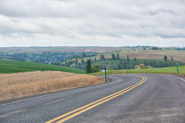 A winding rural road curves through green hills under a clear blue sky during bright daylight in tranquil countryside