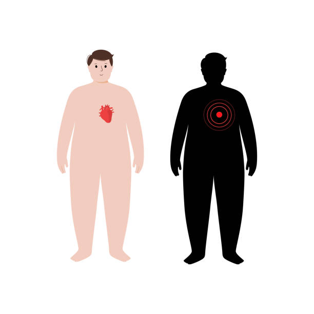 organe im übergewichtigen menschlichen körper - human heart heart disease healthy lifestyle human internal organ stock-grafiken, -clipart, -cartoons und -symbole