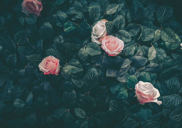 istock Beautiful Artificial Rose Flowers Background, Vintage style; 1308333570