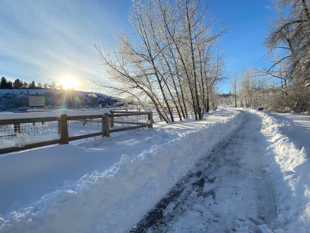 istock Winter scenery along the Elbow River pathway in Calgary Alberta 1308333859
