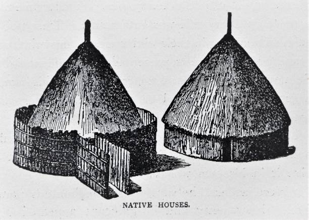 African House in Tanzania, 19th Century Africa Round huts with thatched roofs were the architecture of many native African houses in Tanzania in 1870. Illustration published 1891. Source: Original edition is from my own archives. Copyright has expired and is in Public Domain. thatched roof hut straw grass hut stock illustrations