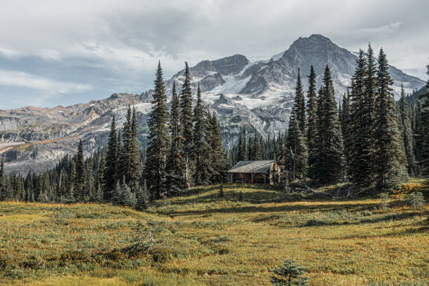 istock Autumn in Mount Rainier 1308337998