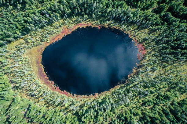 vue aérienne de la forêt et du lac de la nature boréale en été - forest aerial view taiga treetop photos et images de collection