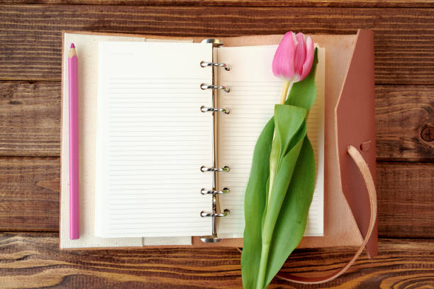 spring flat lay with tulip, pen and notebook on wood.