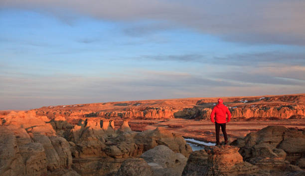 istock Man Admiring Incredible View At Writing-On-Stone Provincial Park in Alberta Canada 1308348240