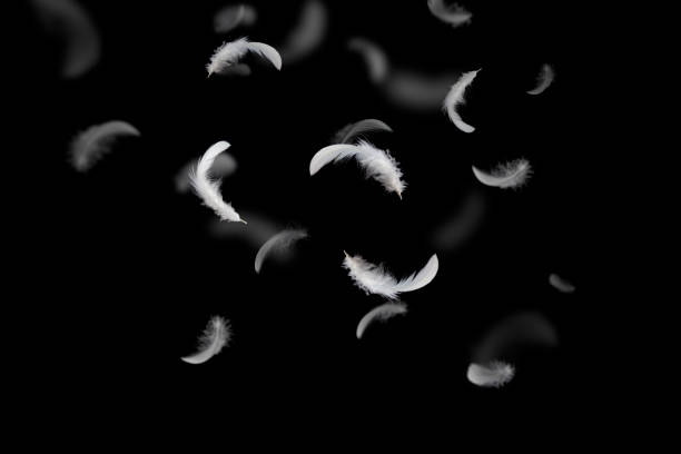 istock Group of Soft and Light White Feathers Falling Down in The Dark. Black Background. 1308350825