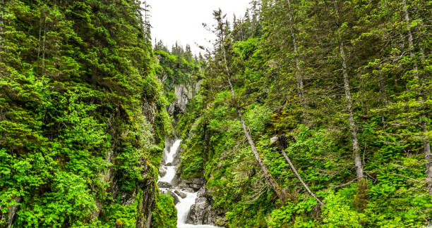 istock Waterfalls of Alaska 1308351737