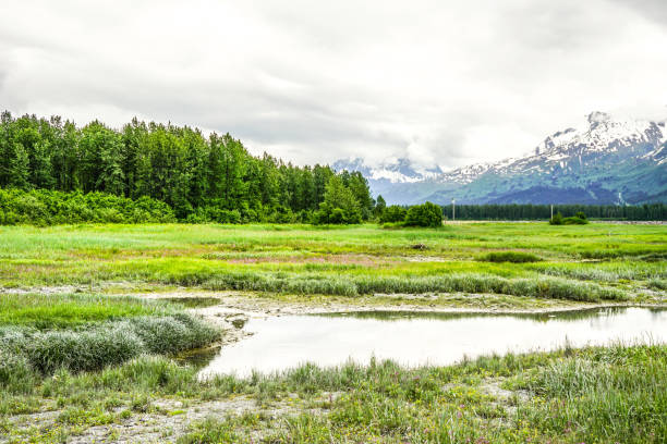 istock The Landscape of Alaska - 1308351756