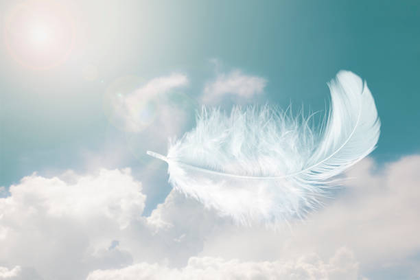 istock Beautiful Soft and Light Fluffy White Feather Floating in The Sky with Clouds. Abstract. Heavenly Dreamy Fluffy Colorful Sky. 1308351825