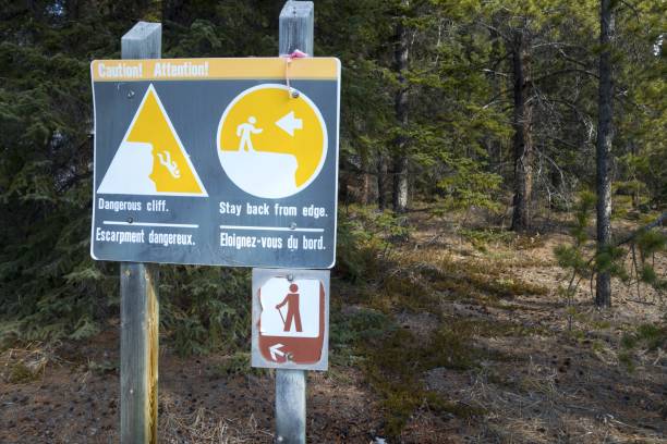 istock Hiking Sign in a Forest 1308355011