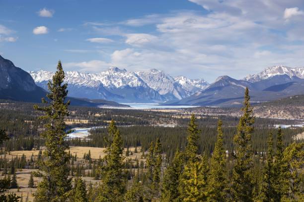 istock Kootenay Plains Ecological Reserve and Abraham Lake, Alberta Canada 1308355040