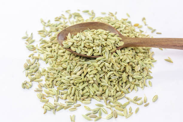 dried organic fennel seeds or saunf in a wooden spoon on white isolated background. - ingredient fennel food dry imagens e fotografias de stock