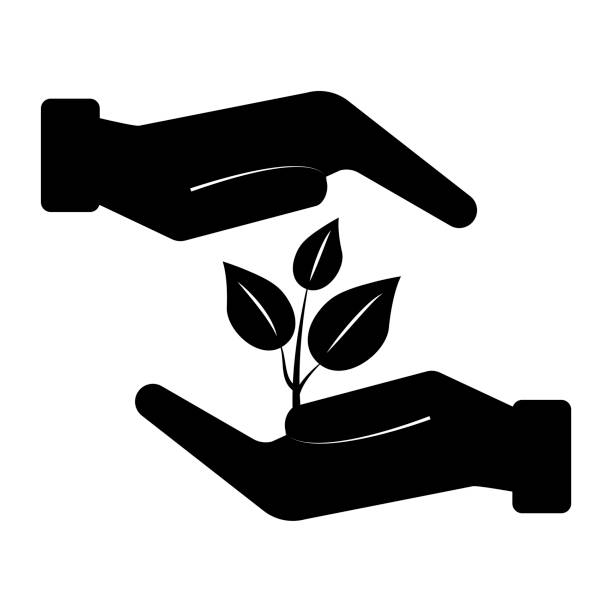Nature Hands Vector Nature And Ecology Colored Icons 2 Illustrations, Royalty-Free Vector ...