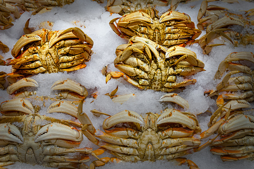 Fresh Alaskan King Crabs sit on ice at a fish market in Seattle, Washington.