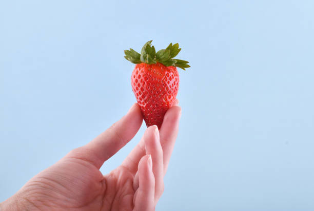 istock Woman's hand holds strawberry on blue background with copy space 1308361487