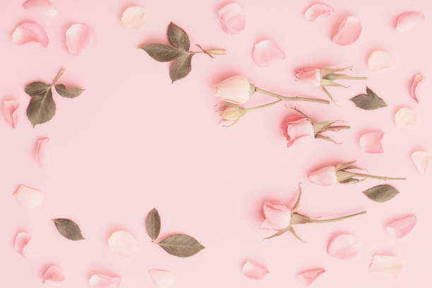 istock pink and white flowers on pink  paper  background 1308363601