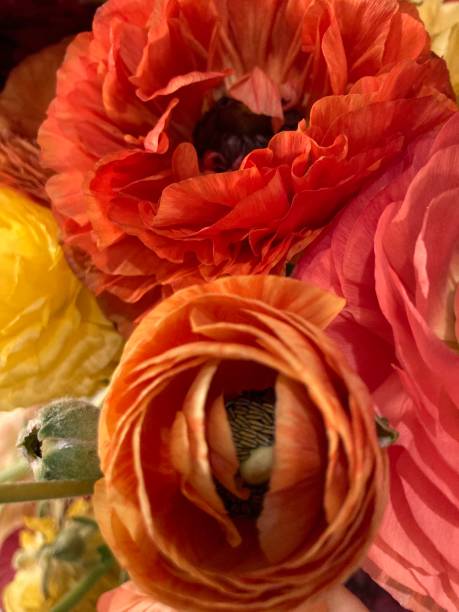 istock flower bouquet close up 1308364485
