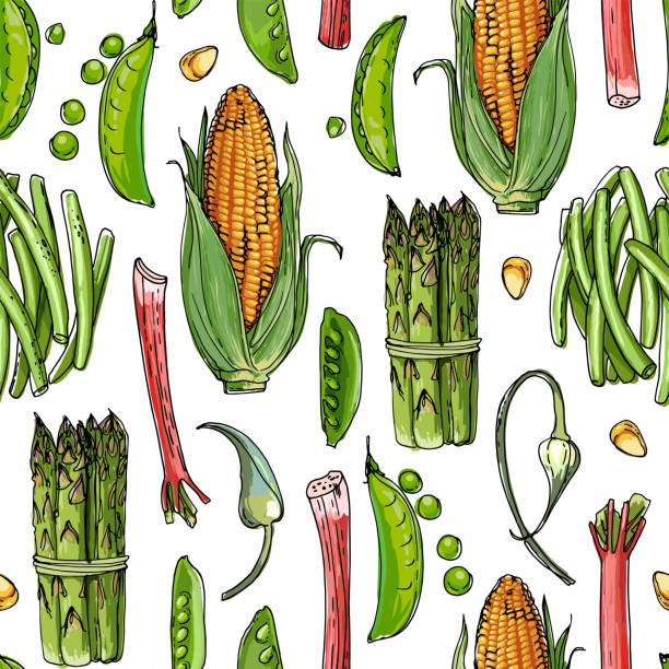 Skertch Pattern 50+ Skertch Stock Photos, Pictures & Royalty-Free Images - iStock