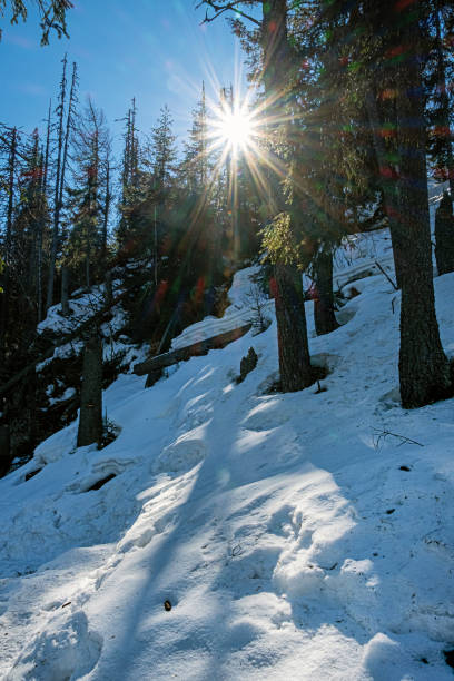 scena delle basse montagne di tatra, slovacchia - 15851 foto e immagini stock