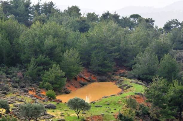 istock Nature in Lebanon 1308371196