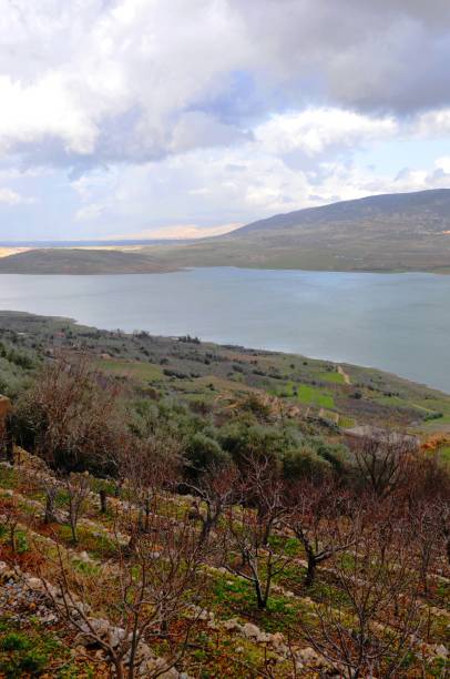 istock Nature in Lebanon 1308371215